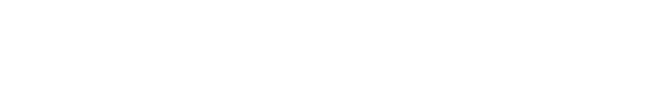 Borås Stad Logo